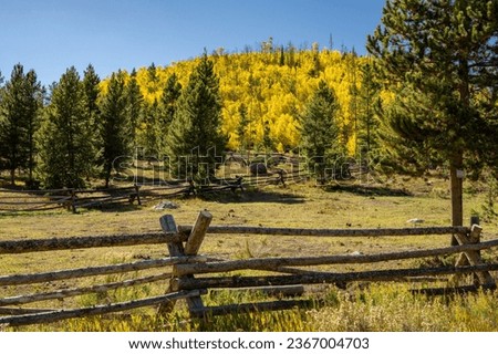 Fall Foliage in Colorado High Country Royalty-Free Stock Photo #2367004703