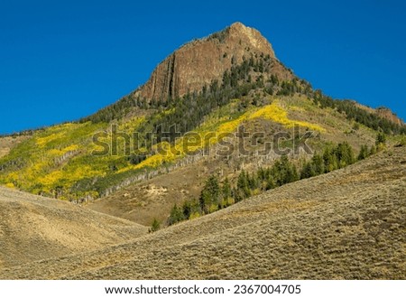 Fall foliage in Colorado High Country Royalty-Free Stock Photo #2367004705