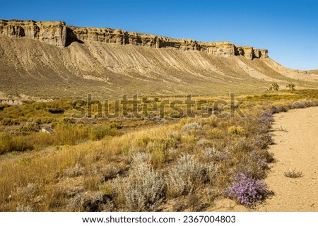 Purple flowers and the Cliffs outside of Kremmling Colorado