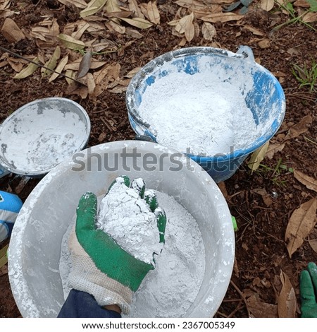 Farmers are preparing to sprinkle gypsum powder around the base of durian trees to nourish the roots and stems. Royalty-Free Stock Photo #2367005349