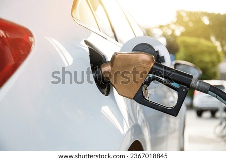 Fuel pumps gasohol, gasoline ,benzine, at a gas station ,price gasoline concept.
 Royalty-Free Stock Photo #2367018845