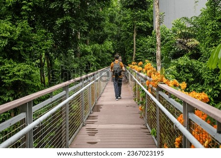 Man walking across a bridge on the Mount Imbiah, Nature Trail from Sentosa, Singapore. Royalty-Free Stock Photo #2367023195