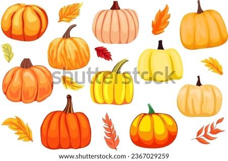 Set of different pumpkins, autumn season, autumn leaves, clip art, cartoon pumpkins for holiday decoration
