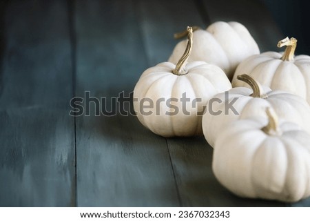 Front view of small mini white fall pumpkins on rustic blue green table for autumn . Selective focus with blurred foreground and background.
