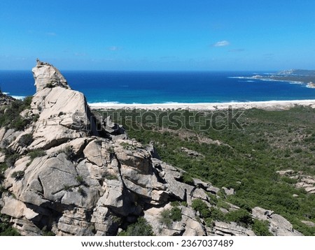 Picture of the Mediterranean ocean in Corsica (Rocca Pina) with trees in the foreground and rocks.