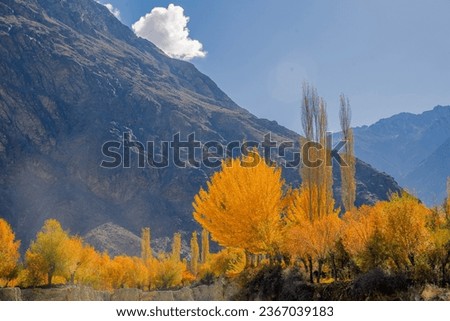Beautiful autumn front of huge snowy and rocky mountains
