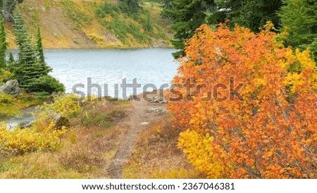 autumn, recreation, landscape, pond, forest, park, river