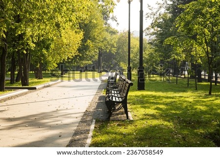 Park with benches.Improvement of the city.Green zone. Royalty-Free Stock Photo #2367058549