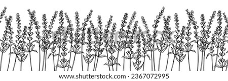 Lavender seamless Border on isolated background. Hand drawn vector illustration of Provence flowers for Frames. Floral pattern for banner for botanical design. Line art engraving painted by black inks