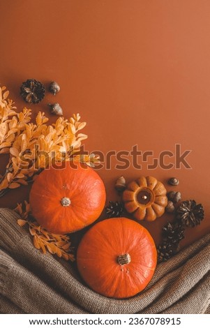 Autumn background top view, pumpkin and leaves on orange background.