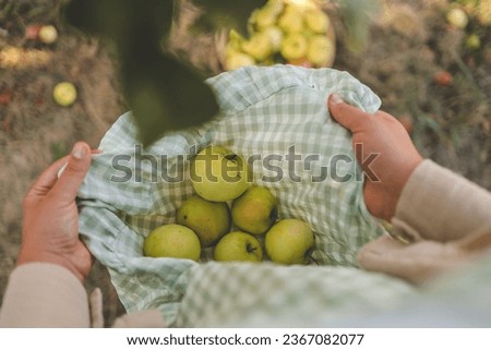 Girl picking apples in the garden, autumn aesthetic.
