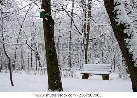 Bench covered in snow on a winter day in Trivale Forest Park, Pitesti, Romania Royalty-Free Stock Photo #2367109085
