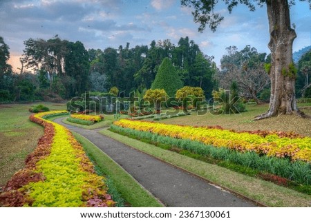 Royal botanical gardwen in Kandy, Sri Lanka.