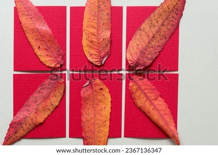 close-up of staghorn sumac leaves on red paper tiles and blank paper