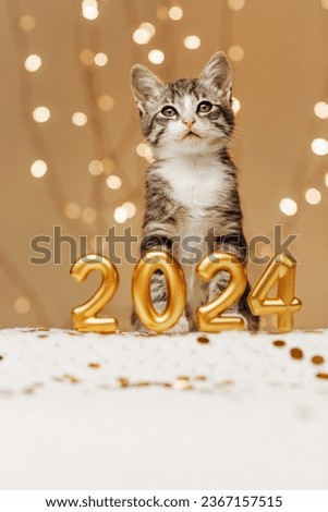 The kitten stands peacefully behind the inscription of the numbers of the upcoming new year 2024 on a light background of lights from garlands. Portrait orientation. Royalty-Free Stock Photo #2367157515