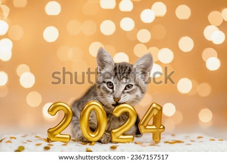 A lazy Gray kitten lies next to the figures of the new year 2024 on the background of the lights of the Christmas garland Royalty-Free Stock Photo #2367157517