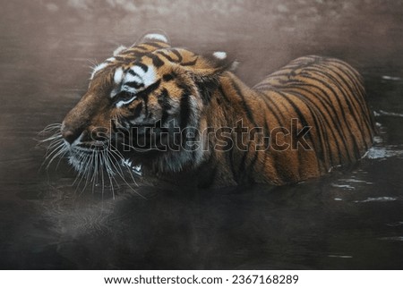 Fine Art portrait photo of "Bengal Tiger", in color with grainy