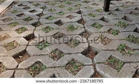 paving made of cement and round with grass in the middle
