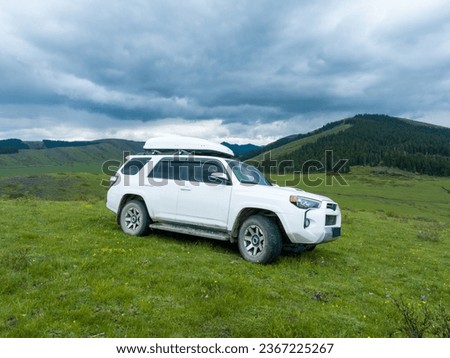 Trip in the high altitude beautiful grassland and flowers, China Royalty-Free Stock Photo #2367225267