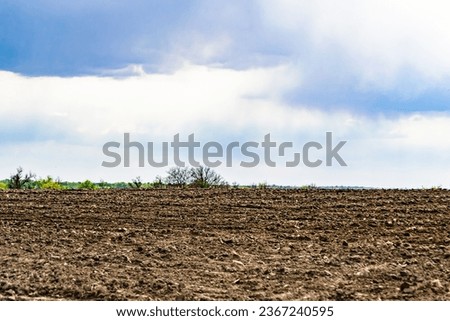 Photography on theme big empty farm field for organic harvest, photo consisting of large empty farm field for harvest on sky background, empty farm field for harvest this natural nature autumn season