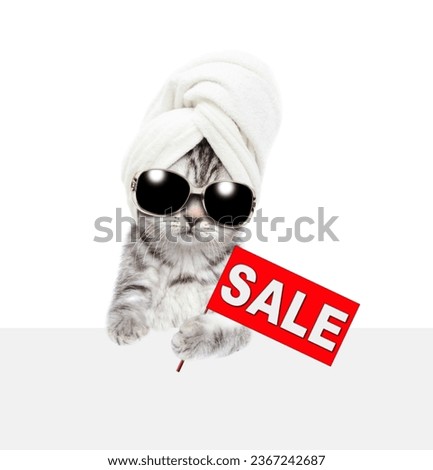 Cute kitten wearing towel on it head shows signboard with labeled "sale" behind empty white banner. isolated on white background
