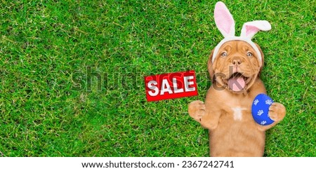 Happy mastiff puppy wearing easter rabbits ears holding painted Easter egg and showing signboard with labeled "sale" and lying on its back on summer green grass. Top down view. Empty space for text