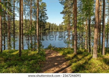 Beautiful summer view from a lake in a pine and fir forest in Sweden Royalty-Free Stock Photo #2367246091