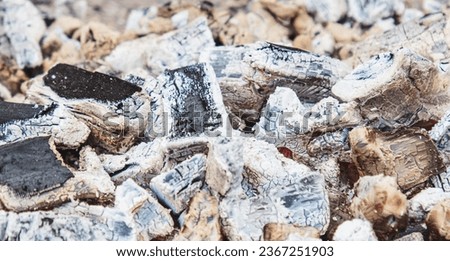 Close-up of burning coals. Background.