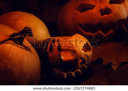Pumpkin patterns. Pumpkin for Halloween. A mystical plot.  All Saints' Day.