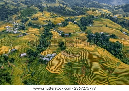Aerial view of rice field or rice terraces , Sapa, Vietnam. Y Linh Ho village, Ta Van valley Royalty-Free Stock Photo #2367275799