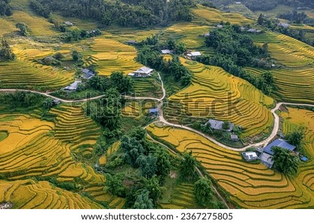 Aerial view of rice field or rice terraces , Sapa, Vietnam. Y Linh Ho village, Ta Van valley Royalty-Free Stock Photo #2367275805