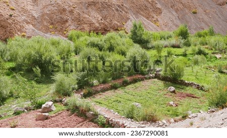 Processing of agriculture fields between high Atlas mountains Morocco, rocky area, well-kept greenery, natural beauty, scorching sun, white earth, geographical ride, peaceful valley, forest area  Royalty-Free Stock Photo #2367290081