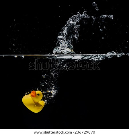 rubber duck under water