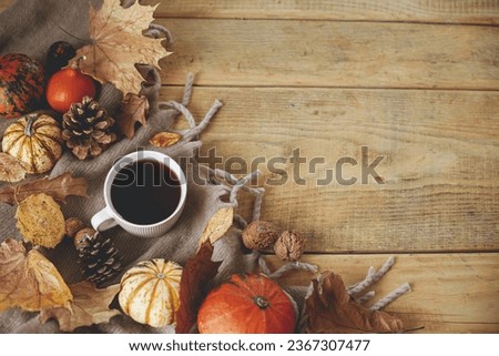 Autumn flat lay. Warm cup of tea, pumpkins, fall leaves, cozy scarf on rustic wooden table with space for text. Hygge fall banner. Happy Thanksgiving