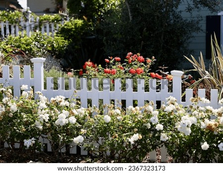 Beach bungalow picket fence and pretty roses Royalty-Free Stock Photo #2367323173
