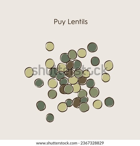 Puy lentils. Natural energy protein organic super food. Hand drawn vector illustration of healthy food. EPS 10. Royalty-Free Stock Photo #2367328829