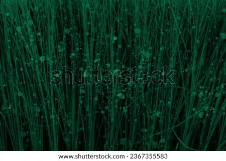 The texture of green palm fiber with splashes of green (suitable for the background)