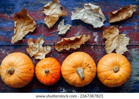 Bright orange pumpkins with yellow dry leaves on a red and blue crafting background. Conceptual background for Harvest Day, Halloween and Thanksgiving.