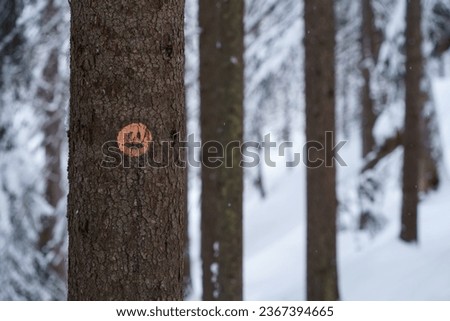 Orange trail marker with a face on a pine tree in Repovesi National Park in winter. Kouvola, Finland. Royalty-Free Stock Photo #2367394665