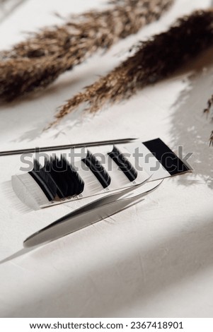 Makeup artist tools and accessories for eyelash extensions. Composition of set of eyelashes different in shape and length, tweezers and applicator next to autumn signs on light background. MOCKUP.