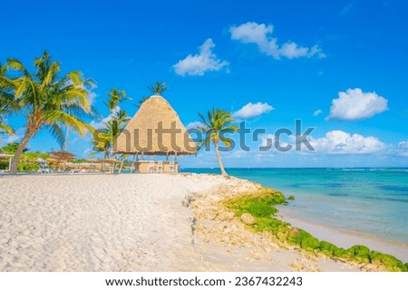 Playa Blanca, Punta Cana, Dominican Republic, Tropical Beach Royalty-Free Stock Photo #2367432243