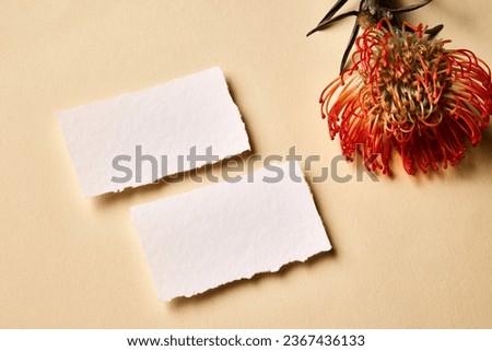 Real photo of business blank card mockup template. Design presentation layouts for corporate identity, advertising, personal, stationery over creamy background. Concept of entrepreneurship.