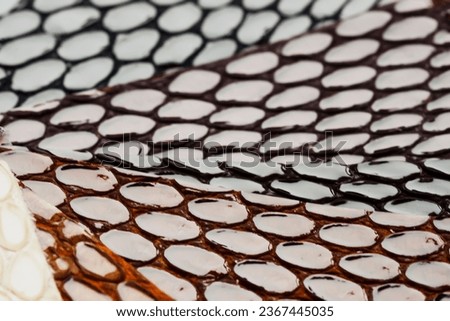 Texture of genuine patent leather closeup embossed under  skin of reptile, color samples. For background use