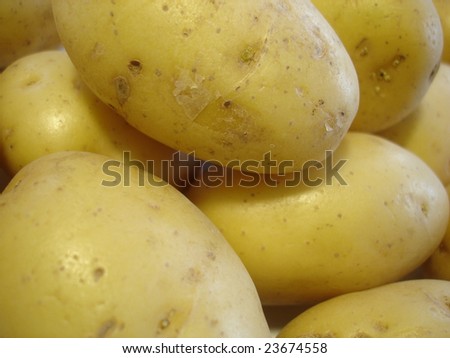 potato background