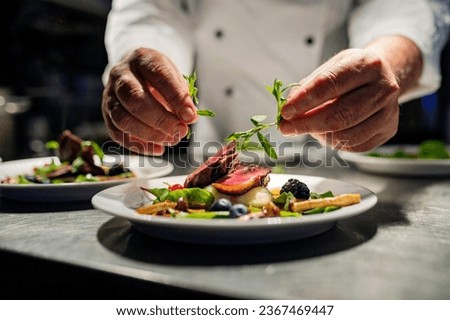Gourmet Plate Design: A Culinary Visual Symphony Royalty-Free Stock Photo #2367469447