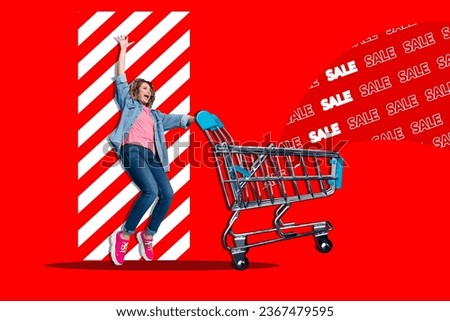Artwork collage of overjoyed girl push market trolley special limited sale proposition isolated on vibrant red background