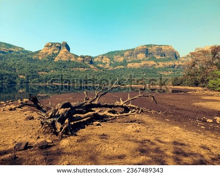 Distant mountains loom over a parched lake, while a solitary tree trunk rests in perfect harmony, completing this captivating tableau of nature's resilience. Royalty-Free Stock Photo #2367489343