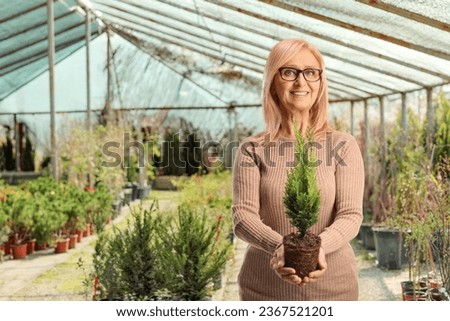 Mature woman holding a small evergreen tree in a pot inside a glasshouse