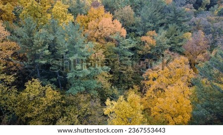 Fall foliage as seen from above