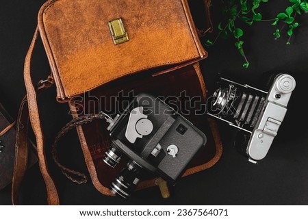 An arrangement of vintage film cameras, a brown leather bag and lush green plants set against a stark black background